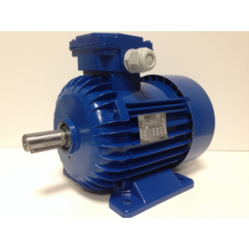 Elektromotor 0.55 Kw 